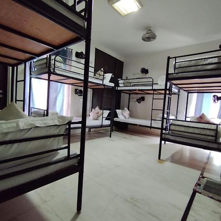 A Sleepy Fox Hostel New Delhi Buitenkant foto